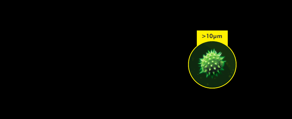 Particles larger than 10µm