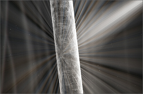 Gesundes Haar reflektiert Licht